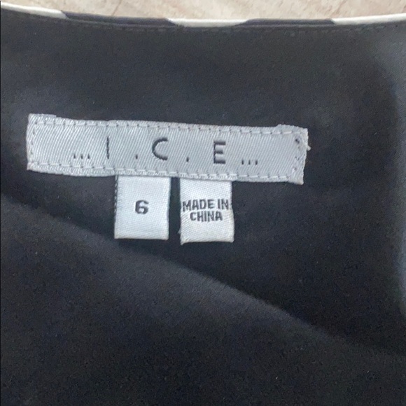 Beautiful Silk Dress sz 6 - Picture 3 of 5